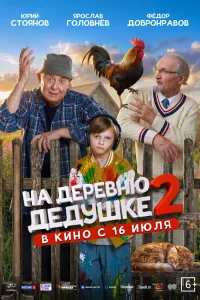  На деревню дедушке 2  2026