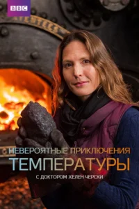  Невероятные приключения температуры  2017