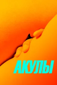  Акулы  2019