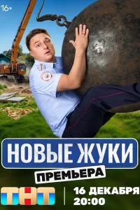  Жуки  2019