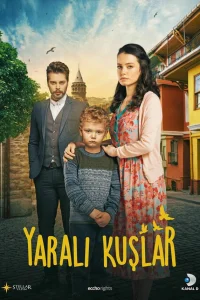  Раненые птицы  2019