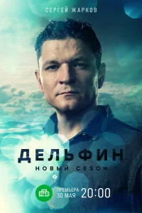  Дельфин  2019