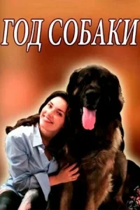  Год собаки  2018