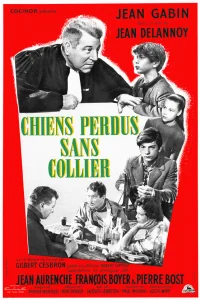 Бродячие собаки без ошейников  1955