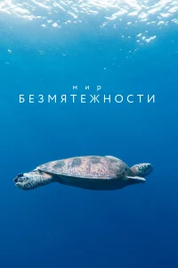  Мир безмятежности  2020