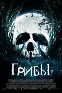  Грибы  2007