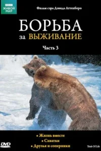  BBC: Борьба за выживание  1990