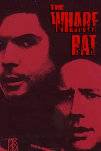 (1995)