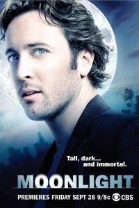  В лунном свете  2007
