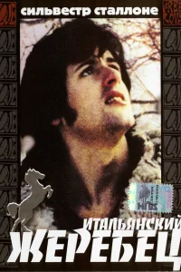  Итальянский жеребец  1970