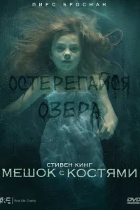  Мешок с костями  2011
