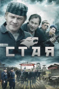  Стая  2009