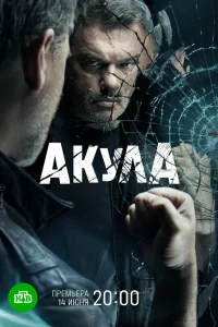  Акула  2021