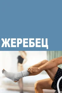  Жеребец  2009