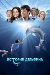  История дельфина  2011