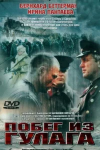 (2001)