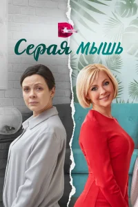  Серая мышь  2023