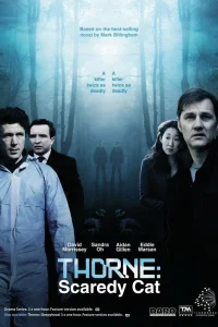  Торн: Пуганая ворона  2010