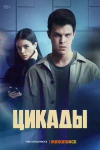  Цикады  2023