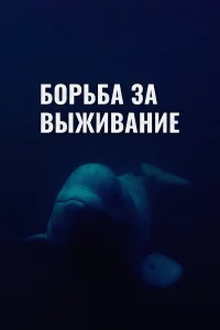  Борьба за выживание  2017