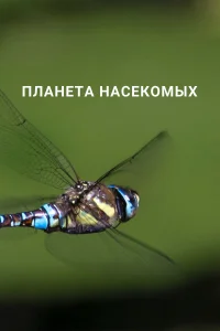  Планета насекомых  2022