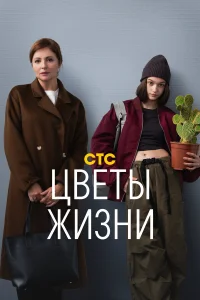  Цветы жизни  2024