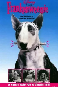  Франкенвини  1984