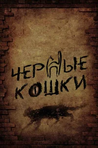  Черные кошки  2013