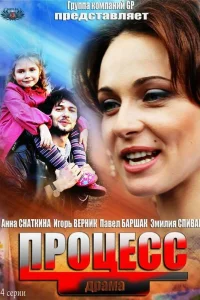  Процесс  2013