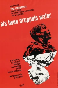  Как две капли воды  1963