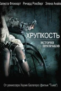  Хрупкость  2005