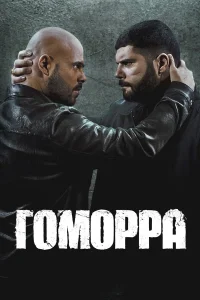  Гоморра  2014