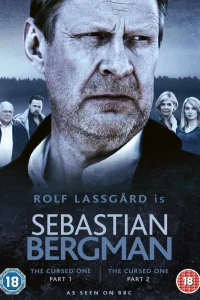  Себастьян Бергман  2010