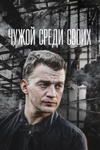  Чужой среди своих  2014