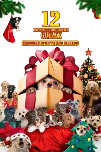  12 рождественских собак  2005