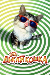 (1997)