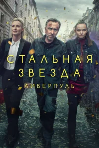  Стальная звезда  2017