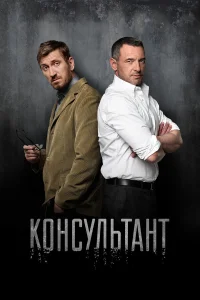  Консультант  2016